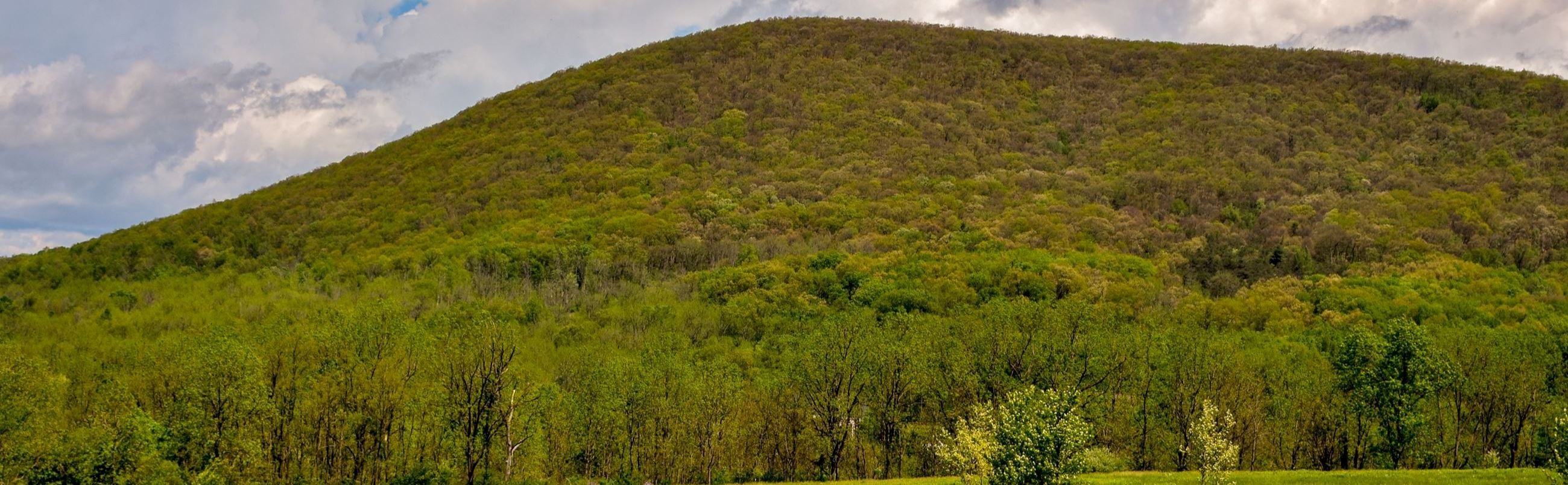 Image of Mt Nittany in Springtime